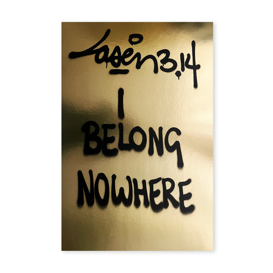 I Belong Nowhere - Copper