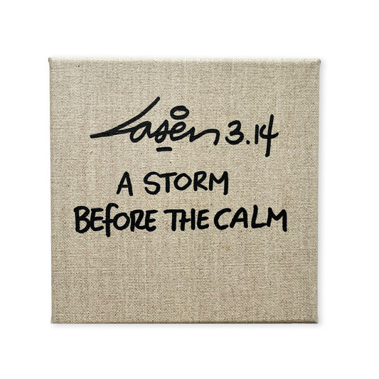 A Storm Before The Calm