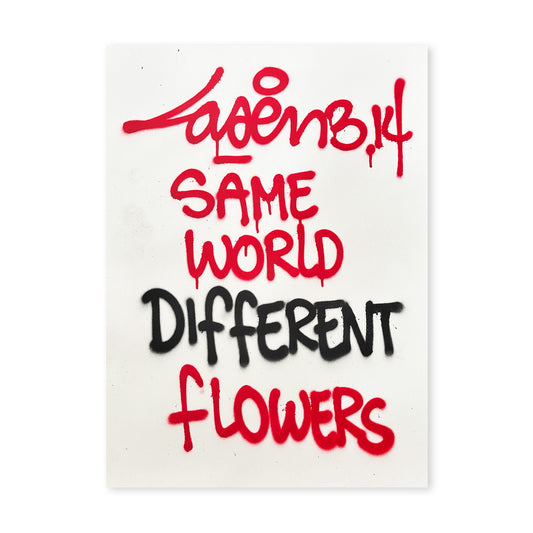 Same World Different Flowers